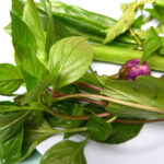 Fresh Thai Basil and Herbs