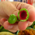 Mini Eggplants With Strange Colors