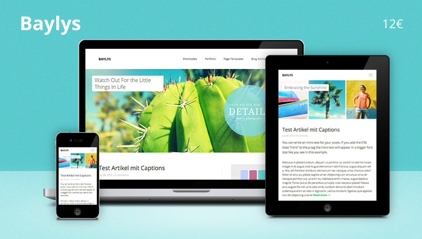 Premium Responsive WordPress Theme Baylys