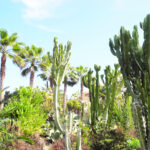 Southern Green