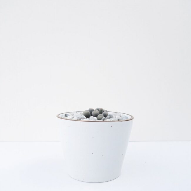 Cute Ceramic Plant Pot