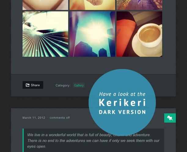 Kerikeri WordPress theme dark version