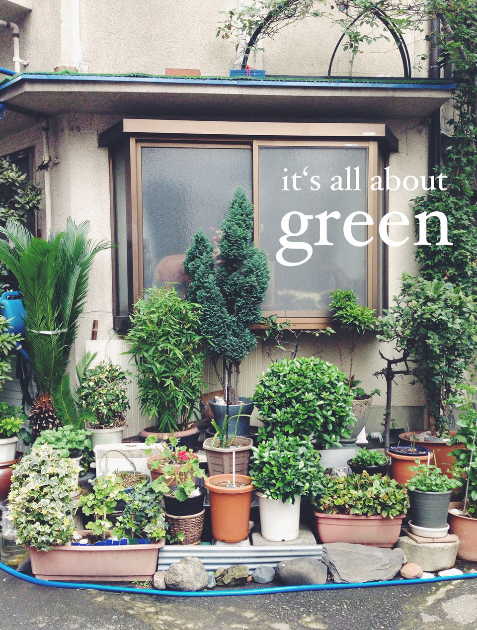 I just love who people put plants in from of their houses to make everything more green even in the city