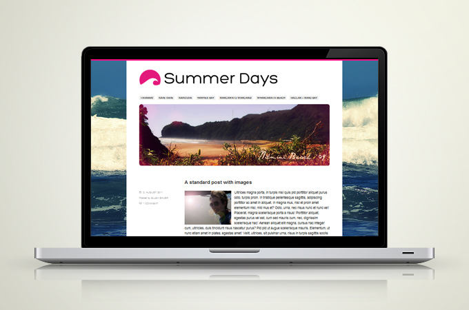 Nilmini theme options