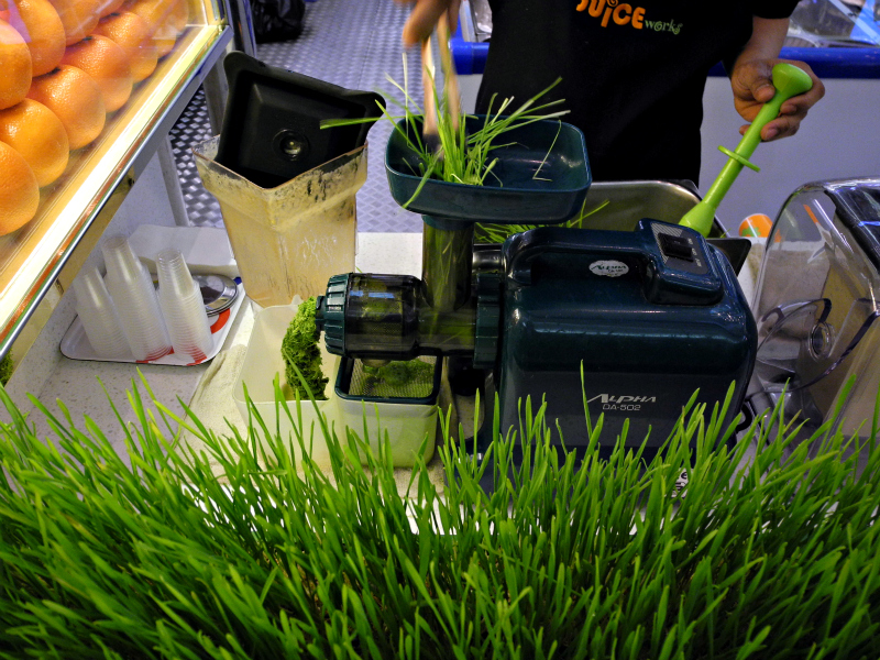 preparing wheat grass juice