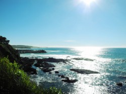 Narooma Bay View